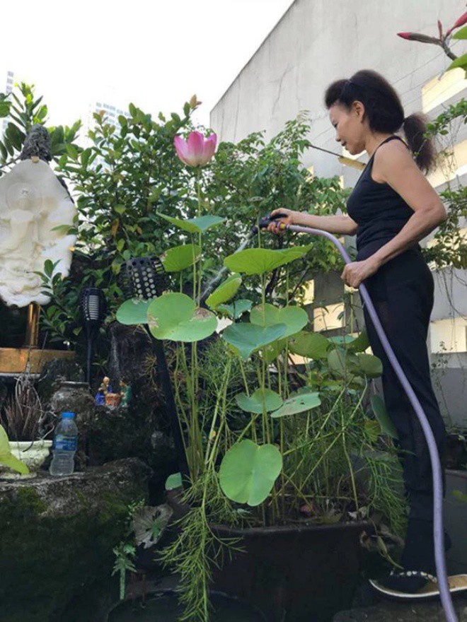 Daughter of billionaire Vbiz: Ha Ho leaves the villa, Hoa Minzy builds a house for her parents - 6
