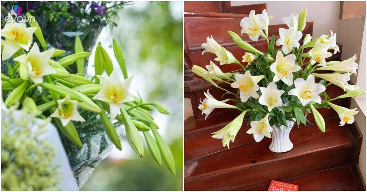 In April, lilies bloom, when put in a bottle, this 1 capsule will stay fresh for 15 days