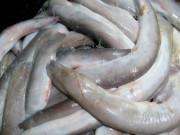 Tin tức - 3 thứ nhìn đã thấy sợ ở Việt Nam thành đặc sản đắt đỏ, bán kiếm tiền triệu