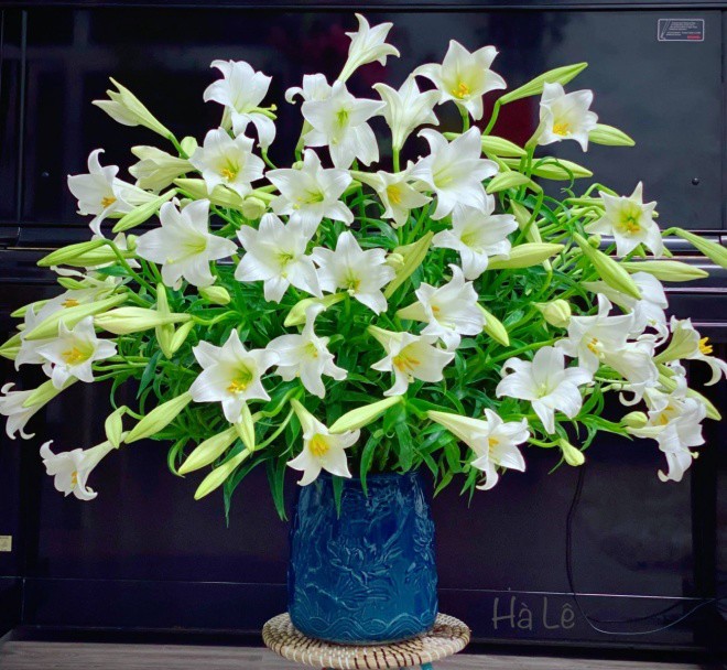 In April, lilies bloom, when put in a jar, this 1 capsule will keep fresh for 15 days - 3