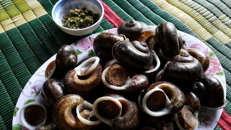 Cũng theo anh Y Là, ốc đá Suối Bàng chẳng cần phải chế biến cầu kỳ.