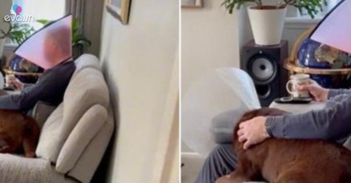 The father wears a hat to make his pet dog “less lonely” to win the hearts of netizens