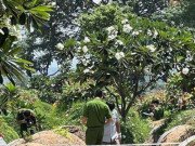 Tin tức - Vụ nam thanh niên gục chết bí ẩn cạnh ngôi mộ: Bước đầu xác định nguyên nhân tử vong