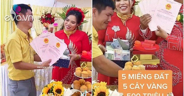 Horrible wedding in Nha Trang, dowry including 5 red books, 5 gold trees, cash diamonds