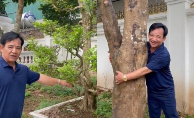 Vietnamese stars own a villa with precious gardens: Meritorious artist Quang Teo shows off where he suddenly comes - 4