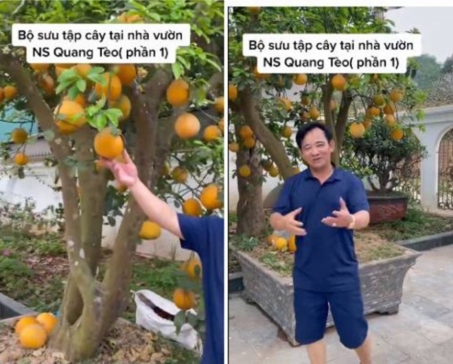 Vietnamese stars own precious garden villas: Meritorious Artist Quang Teo shows off where he suddenly comes - 3
