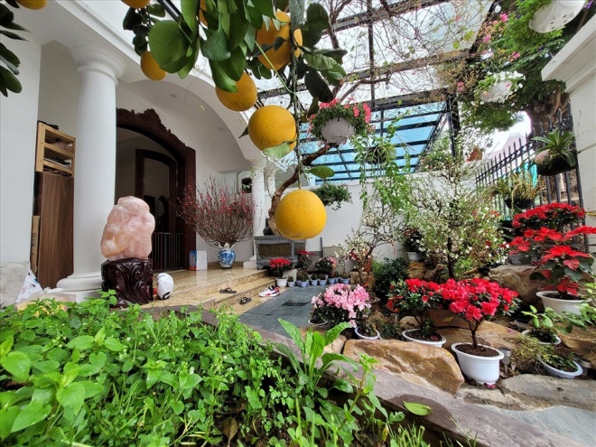Vietnamese stars own precious garden villas: Meritorious Artist Quang Teo shows off where he suddenly comes - 9