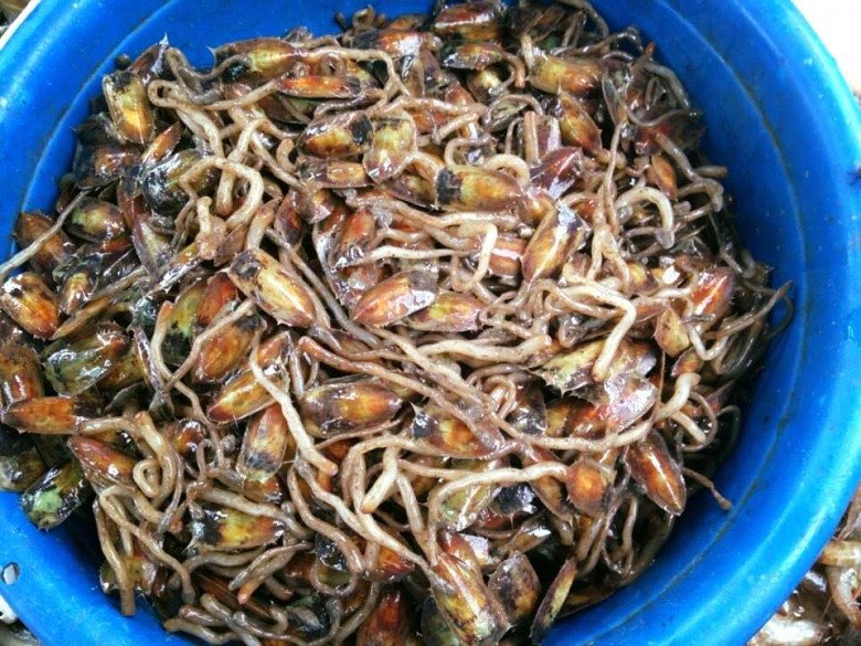 Về Kiên Giang thử 6 đặc sản ngon “tụt lưỡi”, có món phải canh đúng mùa mới được ăn - 2