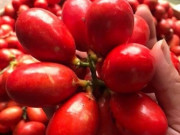 Tiêu dùng - Loại quả xưa rụng đầy không ai hái, giờ thành đặc sản vô cùng đắt đỏ được "săn lùng", 150.000đồng/kg