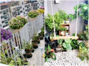 Nhà đẹp - "Thiên đường" tại gia, ban công không chỉ trồng cây cảnh mà có nhiều tác dụng không ngờ