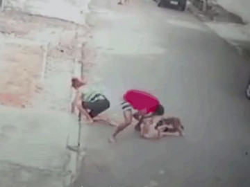  Clip: Cậu bé bị chó Pitbull tấn công dữ dội và màn giải cứu gay cấn 