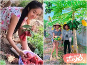 Nhà đẹp - Quê miền Tây bố mẹ sao Việt sống giản dị, vịt gà, rau củ đủ cung cấp cho con cháu