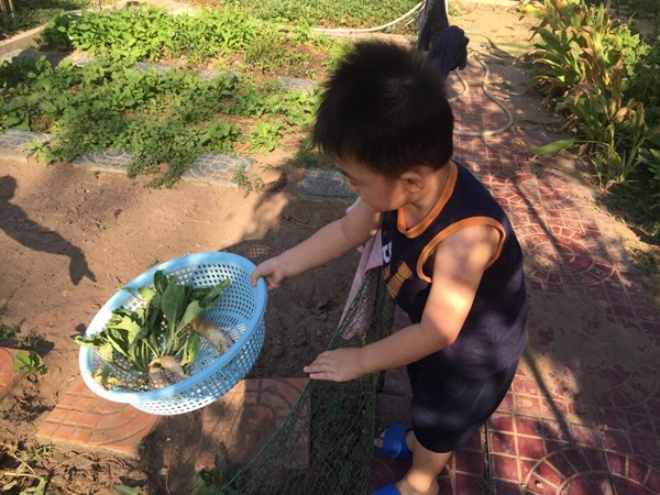Quê miền Tây bố mẹ sao Việt sống giản dị, vịt gà, rau củ đủ cung cấp cho con cháu - 3