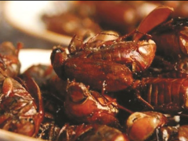 Đặc sản chỉ có ở An Giang, nhìn thì khiếp nhưng rất bùi béo và bổ dưỡng, 350.000 đồng/kg