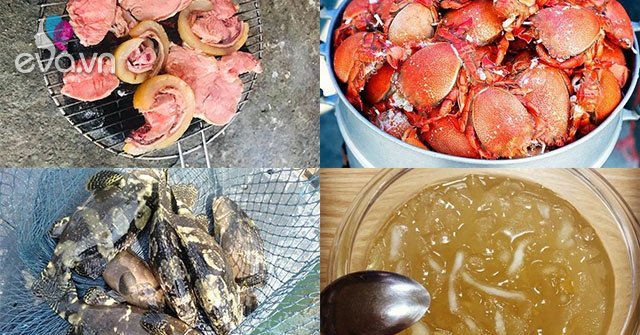 Going to Phu Quy island “cleans up” 5 delicious specialties “out of dipping sauce”, many luxurious dishes are cheap