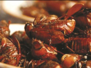 Xem ăn chơi - Đặc sản chỉ có ở An Giang, nhìn thì khiếp nhưng rất bùi béo và bổ dưỡng, 350.000 đồng/kg