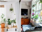 Nhà đẹp - 11 sáng tạo bất ngờ làm cây cảnh "sáng lóa", mỗi ngày ngắm nhìn tâm hồn được chữa lành