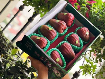 Loại roi khổng lồ, to như quả xoài được lùng mua với giá cả triệu đồng/kg