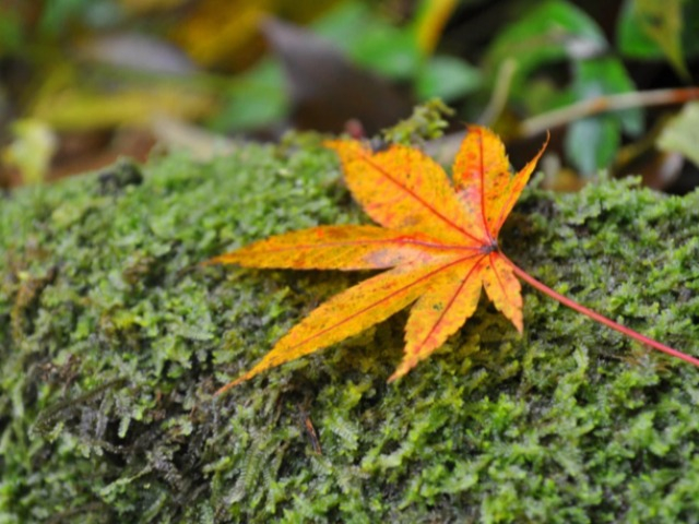 Đời người có 3 cái khó, vượt qua được sẽ là người chiến thắng