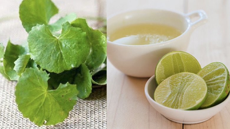 Buy 5 thousand centella asiatica to beautify, lose weight without braking, smooth skin - 4