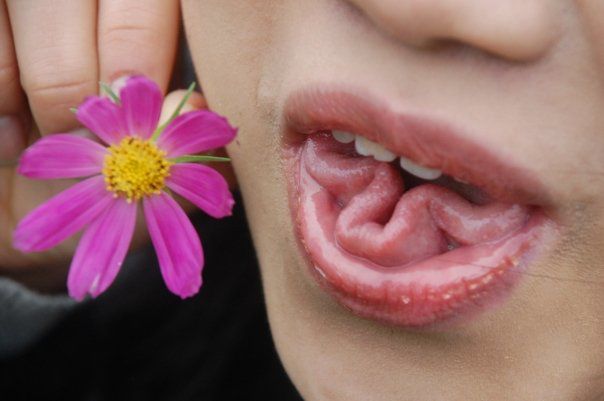 Thanh Van's daughter, Hong Dang owns a tongue that 1% of people in the world can do - 1