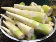 Bếp Eva - Măng tươi làm món gì cũng ngon nhưng có 2 điều kiêng kỵ bắt buộc phải nhớ