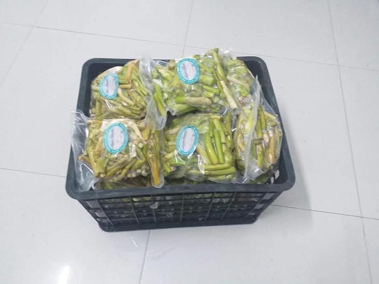Mấy năm nay, nhiều hộ dân mạnh dạn chuyển từ trồng lúa sang trồng khoai lấy ngó, mỗi sào cho thu khoảng 50-60 kg ngó, hàng có đến đâu thương lái thu mua đến đó để bán về thành phố.