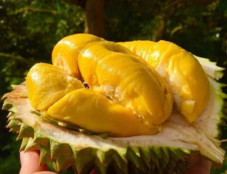Buy durian, choose thick or thin thorns, the seller reveals an unexpected truth - 6