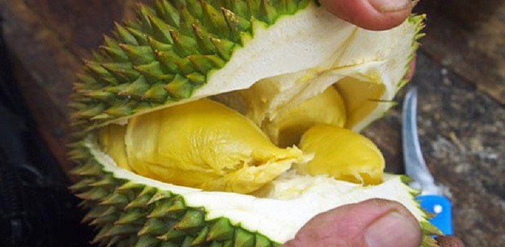 Buy durian, choose thick or thin thorns, the seller reveals the unexpected truth - 4