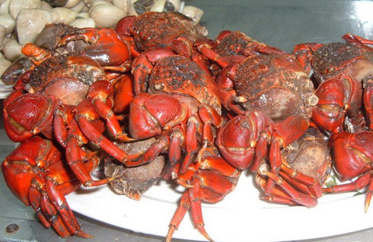 Famous specialties only in Tra Vinh, better than crab, 70,000 VND/kg lucky to enjoy - 4