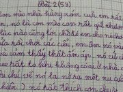 Tin tức - Bài văn tả chú mèo hàng xóm của bé gái tiểu học khiến cộng đồng mạng cười nghiêng ngả