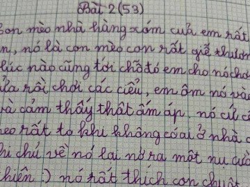 Bài văn tả chú mèo hàng xóm của bé gái tiểu học khiến cộng đồng mạng cười nghiêng ngả