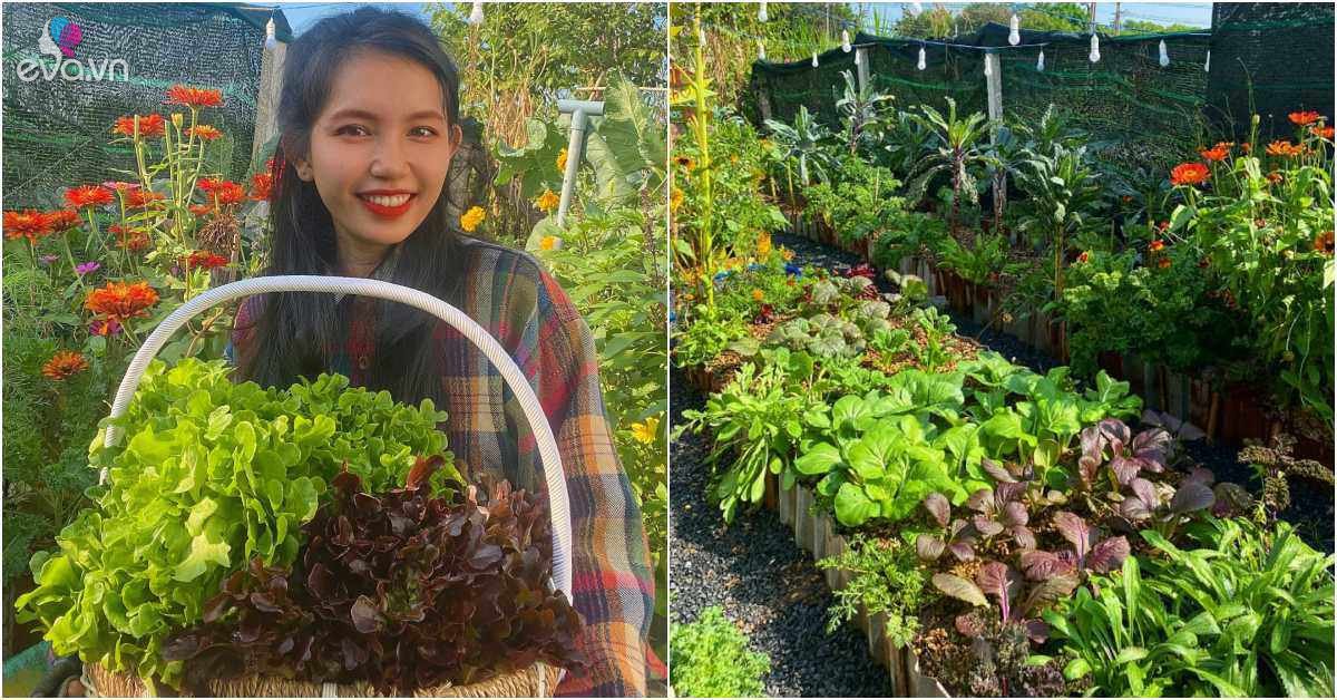 Saigon’s mother built a bed to grow vegetables, got a 180m2 rainbow garden and got anything