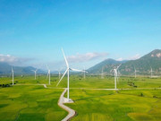 Xem ăn chơi - Chơi hè hết 5 cánh đồng điện gió đẹp đỉnh nhất Việt Nam