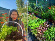 Nhà đẹp - Mẹ Sài Gòn "đóng giường" trồng rau, được khu vườn cầu vồng 180m2 thứ gì cũng có