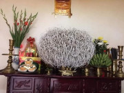 Nhà đẹp - Trong nhà có 4 thứ là "cột thu lộc" tuyệt đối không được di chuyển, càng để lâu càng vượng
