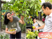 Nhà đẹp - NSƯT Trịnh Kim Chi thu hoạch trái cây chồng tự tay trồng trong biệt thự 200m2