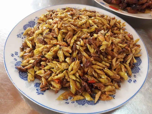 Hai đặc sản nhìn ghê rợn, không ai dám thử song ăn rất ngon, giá cao ngất 500.000 đồng/kg - 2