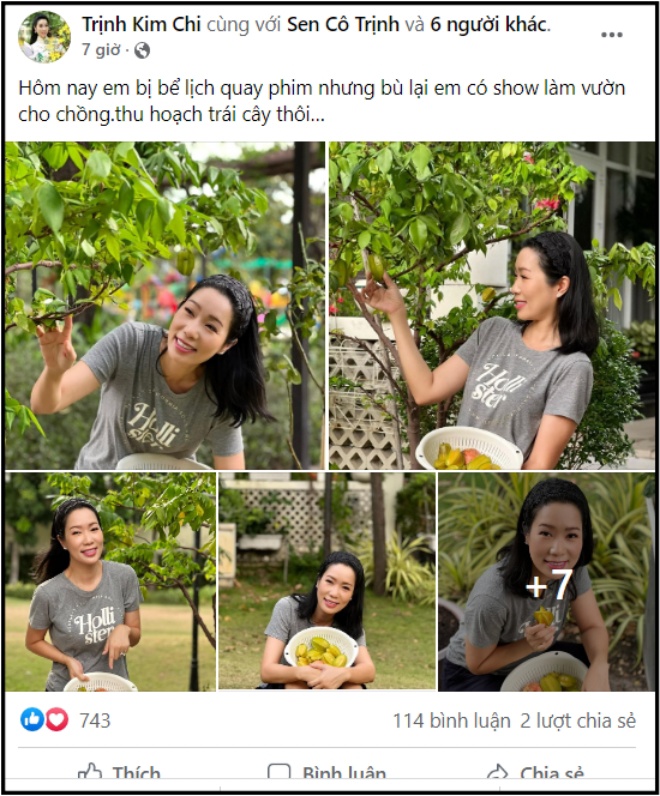 Meritorious Artist Trinh Kim Chi harvests fruits her husband planted in a villa of 200m2 - 4