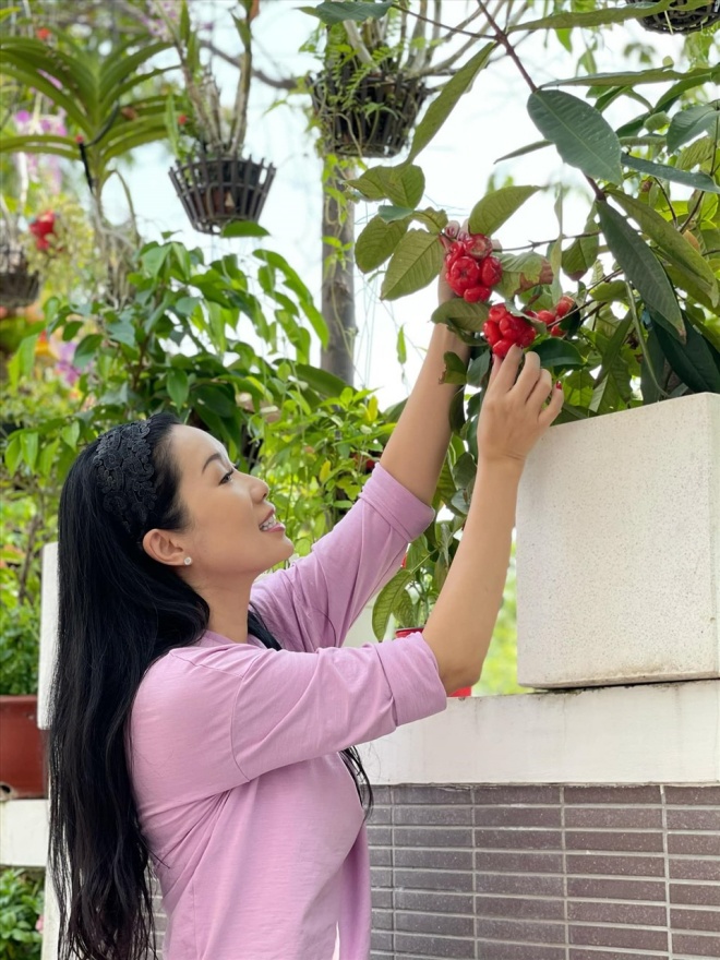Meritorious Artist Trinh Kim Chi harvests fruits her husband planted in his villa 200m2 - 10