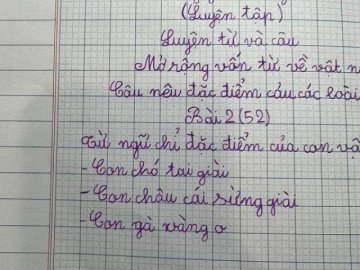 Làm bài tập đặt câu nêu đặc điểm của con vật, bé gái tiểu học khiến dân mạng dở khóc dở cười