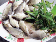 Xem ăn chơi - Món ăn xưa dành cho nhà nghèo, giờ thành đặc sản được dân thành thị ưa chuộng, 150.000 đồng/kg