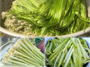 Xem ăn chơi - 3 loại rau xưa đầy không ai hái, giờ thành đặc sản được dân thành phố mê tít, 100.000 đồng/kg