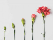 Eva tám - 10 dấu hiệu cho thấy bạn thực sự cần sự thay đổi lớn trong đời