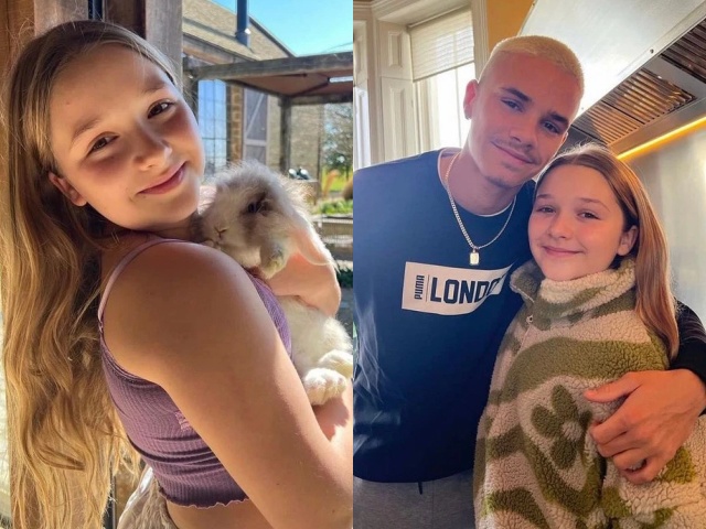 Sau khi gây sốt tại đám cưới anh trai, Harper tiếp tục gây chú ý vì ngày càng phổng phao