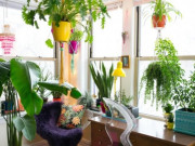 Nhà đẹp - Vị trí đặt cây cảnh phong thủy mới nhất năm 2022, hút may mắn, chiêu tài lộc