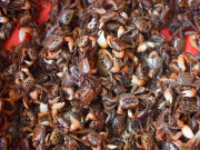 Xem ăn chơi - Đặc sản nổi tiếng Thanh Hóa, xưa đầy không ai ăn, giờ được chị em ưa chuộng, 350.000 đồng/kg