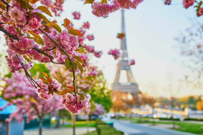 Fall in love with cherry blossoms at Parc de Seaux, Paris - 1