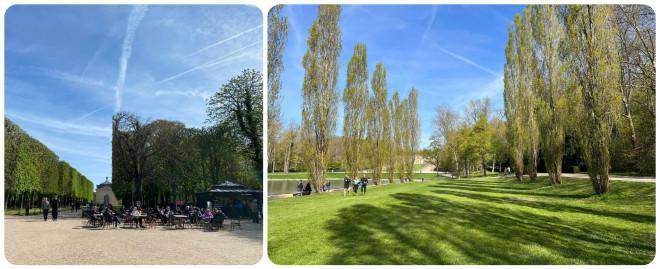 Fall in love with cherry blossoms at Parc de Seaux, Paris - 12