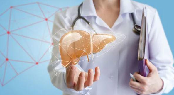 Gan có khỏe mới sống thọ, đây là 5 thực phẩm mùa hè giúp gan được “giải độc” tự nhiên